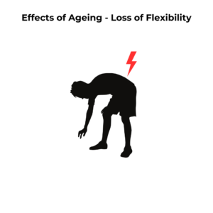 W5 Effect of Ageing Loss of Flexibility Flexibility